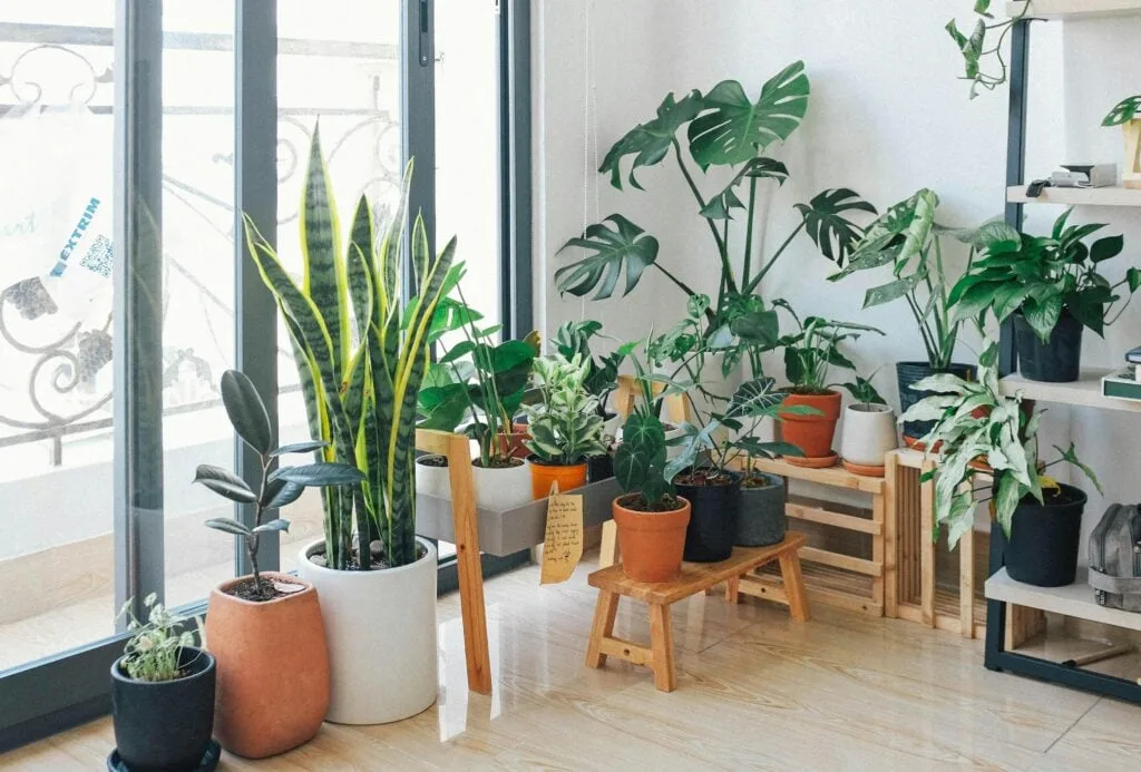 home decor 1024x693 1